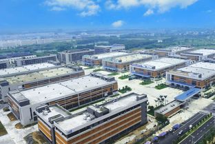 發揮自治區電子信息龍頭企業作用推動廣西外貿增長